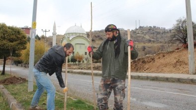 BAŞKAN YILDIZ 3 BİN DUT AĞACINI TOPRAKLA BULUŞTURDU