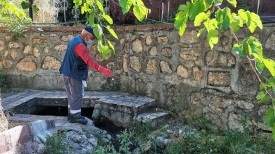 BELEDİYEMİZ TARAFINDAN LAVRA İLAÇLAMA ÇALIŞMASI BAŞLADI