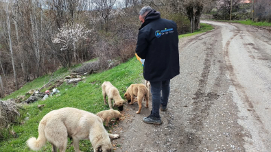Belediyemizden can dostlarımıza şefkat eli