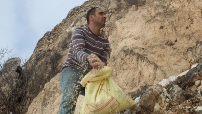 ÇEMİŞGEZEK BELEDİYESİ'NDEN YABAN HAYVANLARINA TAM DESTEK