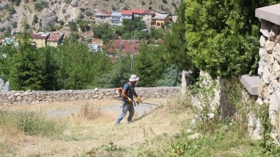 Çemişgezek'te Çevre Temizliği ve Ot Biçme Çalışmaları Devam Ediyor