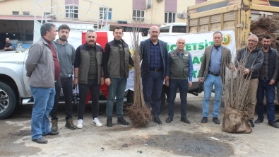 ÇEMİŞGEZEK'TE VATANDAŞLARIMIZA 11 BİN ÜCRETSİZ FİDAN DAĞITILDI