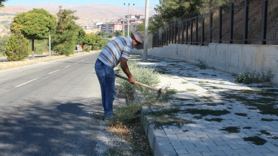 Mustafa Ataş Bulvarında yabanı ot temizliği
