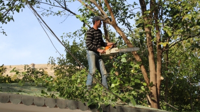 PARK VE BAHÇELERDE BUDAMA YAPILIYOR