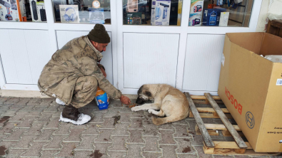 Soğuk kış aylarında canlarımızı yanlız bırakmadık