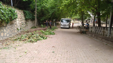 Tekya Park sezona hazırlanıyor