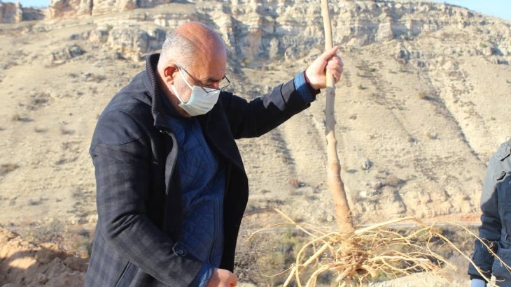 1000 ADET DUT AĞACI TOPRAKLA BULUŞUYOR