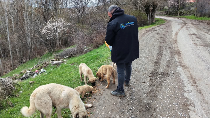 Belediyemizden can dostlarımıza şefkat eli
