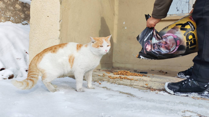 Can dostlarımızın yanındayız