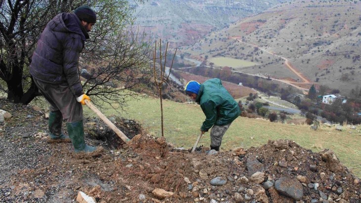 ÇEMİŞGEZEK BELEDİYESİNE 1200 ADET DUT AĞACI HEDİYE EDİLDİ