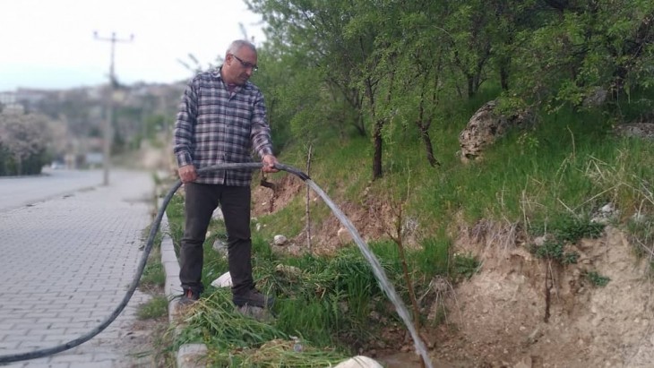 DUT AĞAÇLARININ SULAMA ÇALIŞMALARI BAŞLADI