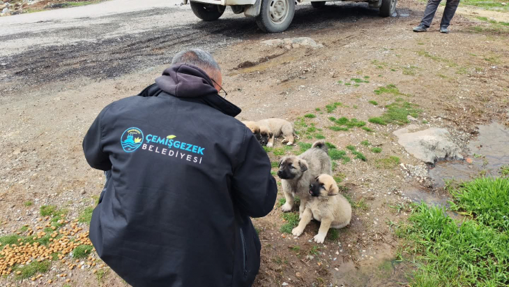 Belediyemizden can dostlarımıza şefkat eli