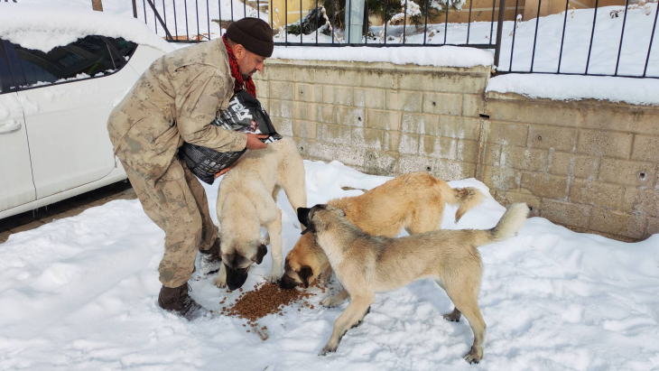 Can dostlarımızın yanındayız