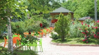 Tekya Park