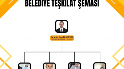 Belediye Teşkilat Şeması
