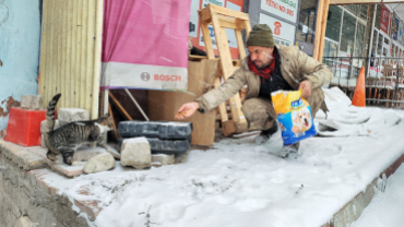 Sokak canlarımıza sahip çıkıyoruz