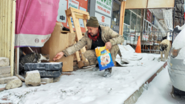 Sokak canlarımıza sahip çıkıyoruz