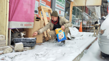 Sokak canlarımıza sahip çıkıyoruz