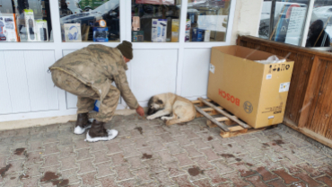 Sokak canlarımıza sahip çıkıyoruz