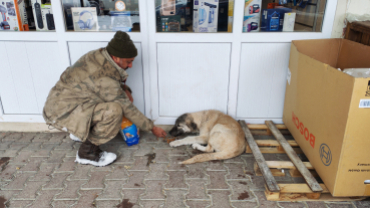 Sokak canlarımıza sahip çıkıyoruz