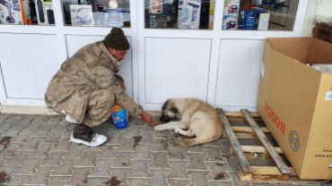 Sokak canlarımıza sahip çıkıyoruz