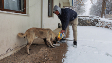 Sokak canlarımıza sahip çıkıyoruz
