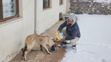 Sokak canlarımıza sahip çıkıyoruz