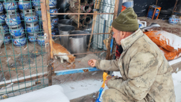 Sokak canlarımıza sahip çıkıyoruz