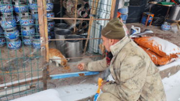 Sokak canlarımıza sahip çıkıyoruz