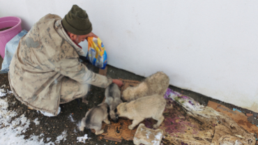 Sokak canlarımıza sahip çıkıyoruz