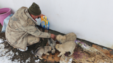 Sokak canlarımıza sahip çıkıyoruz