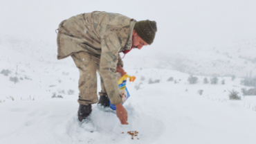 Sokak canlarımıza sahip çıkıyoruz
