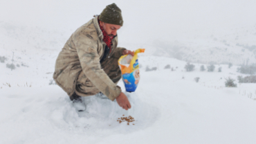 Sokak canlarımıza sahip çıkıyoruz