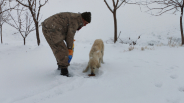 Sokak canlarımıza sahip çıkıyoruz