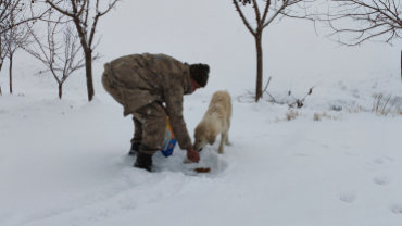 Sokak canlarımıza sahip çıkıyoruz