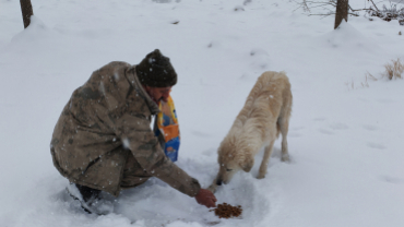 Sokak canlarımıza sahip çıkıyoruz