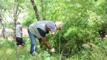 BAYRAM ÖNCESİ MEZARLIKTA BAKIM ÇALIŞMASI