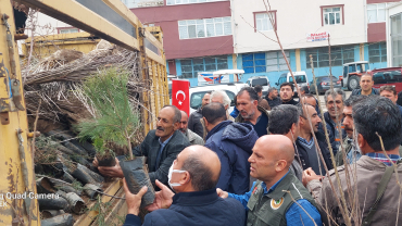 ÇEMİŞGEZEK'TE VATANDAŞLARIMIZA 11 BİN ÜCRETSİZ FİDAN DAĞITILDI