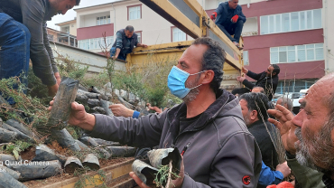 ÇEMİŞGEZEK'TE VATANDAŞLARIMIZA 11 BİN ÜCRETSİZ FİDAN DAĞITILDI