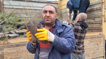 ÇEMİŞGEZEK'TE VATANDAŞLARIMIZA 11 BİN ÜCRETSİZ FİDAN DAĞITILDI