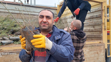 ÇEMİŞGEZEK'TE VATANDAŞLARIMIZA 11 BİN ÜCRETSİZ FİDAN DAĞITILDI