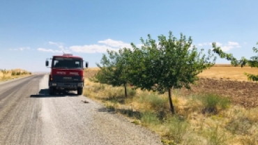 İlçe merkezden feribot iskelesine kadar ağaç sulama çalışması