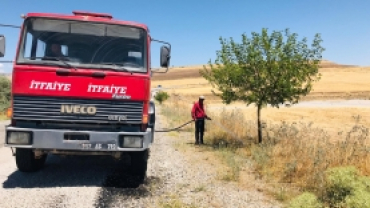 İlçe merkezden feribot iskelesine kadar ağaç sulama çalışması