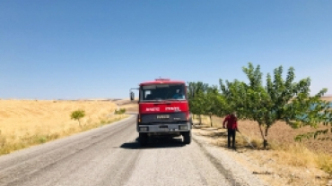 İlçe merkezden feribot iskelesine kadar ağaç sulama çalışması