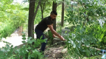 BAYRAM ÖNCESİ MEZARLIKTA BAKIM ÇALIŞMASI