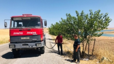 İlçe merkezden feribot iskelesine kadar ağaç sulama çalışması