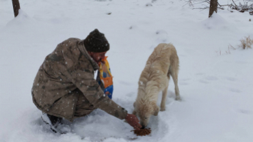 Soğuk kış aylarında canlarımızı yanlız bırakmadık