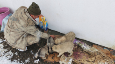 Soğuk kış aylarında canlarımızı yanlız bırakmadık