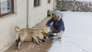 Soğuk kış aylarında canlarımızı yanlız bırakmadık