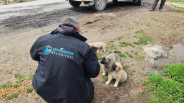 Belediyemizden can dostlarımıza şefkat eli